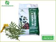 Bao Bì Đất Trồng 