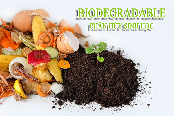 Công nghệ phân hủy sinh học biodegradable là gì?