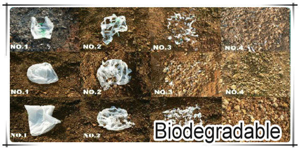 Biodegrandable rút ngắn thời gian phân hủy của sản phẩm còn 6 - 12 tháng