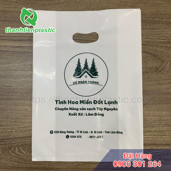Túi bóng hột xoài in logo